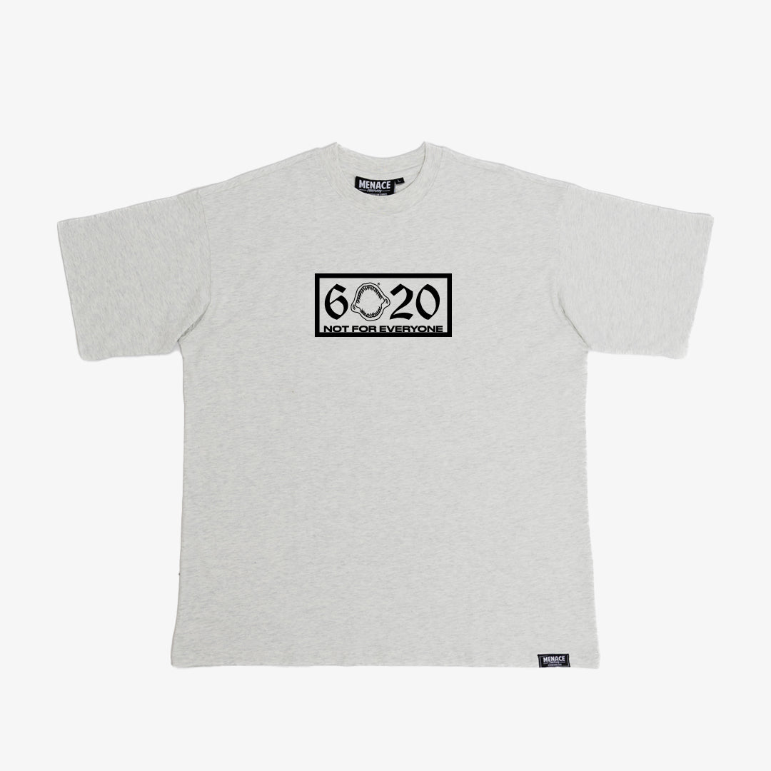 6020 T-shirt (Grey)